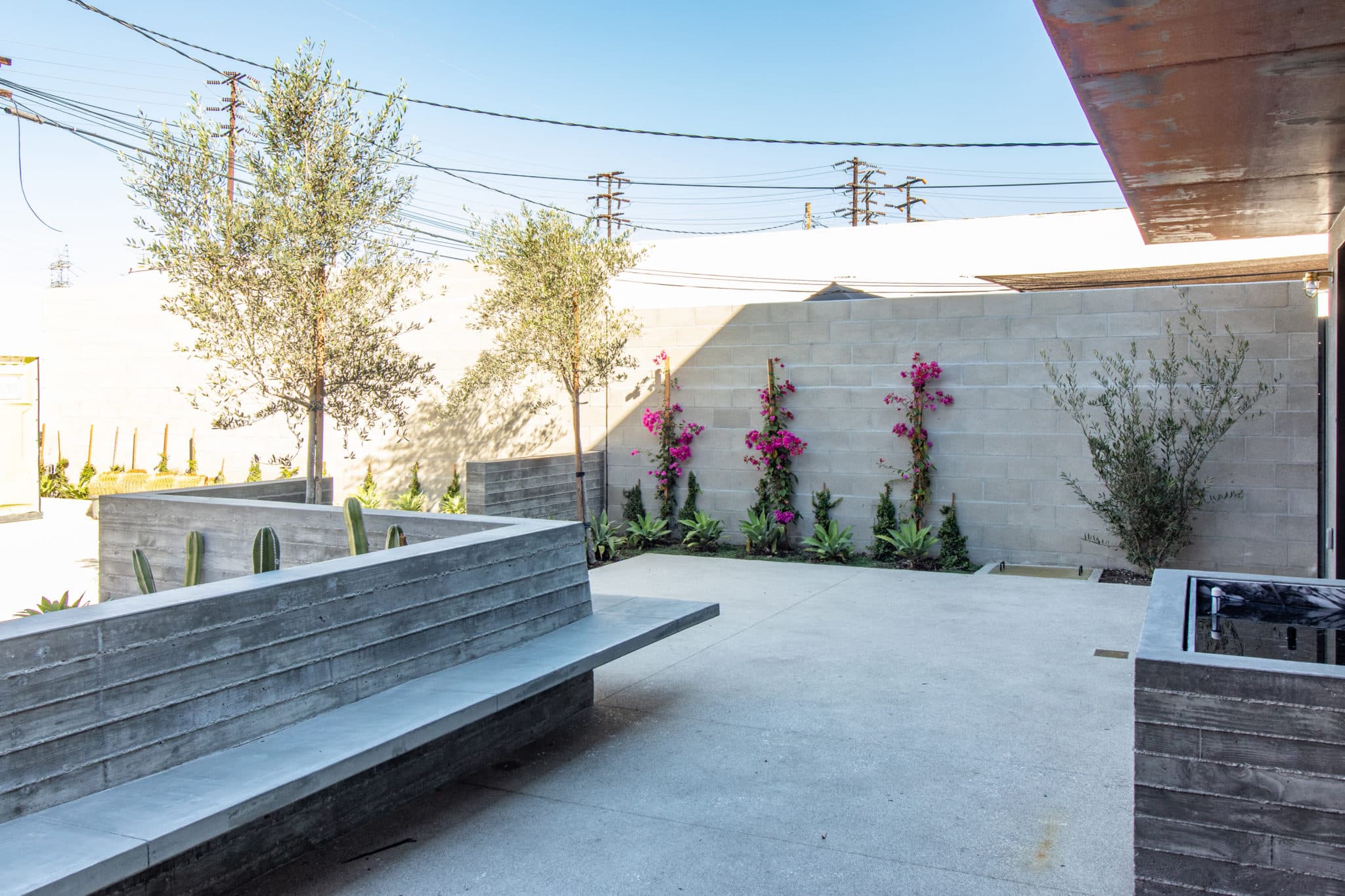 Interior with natural light