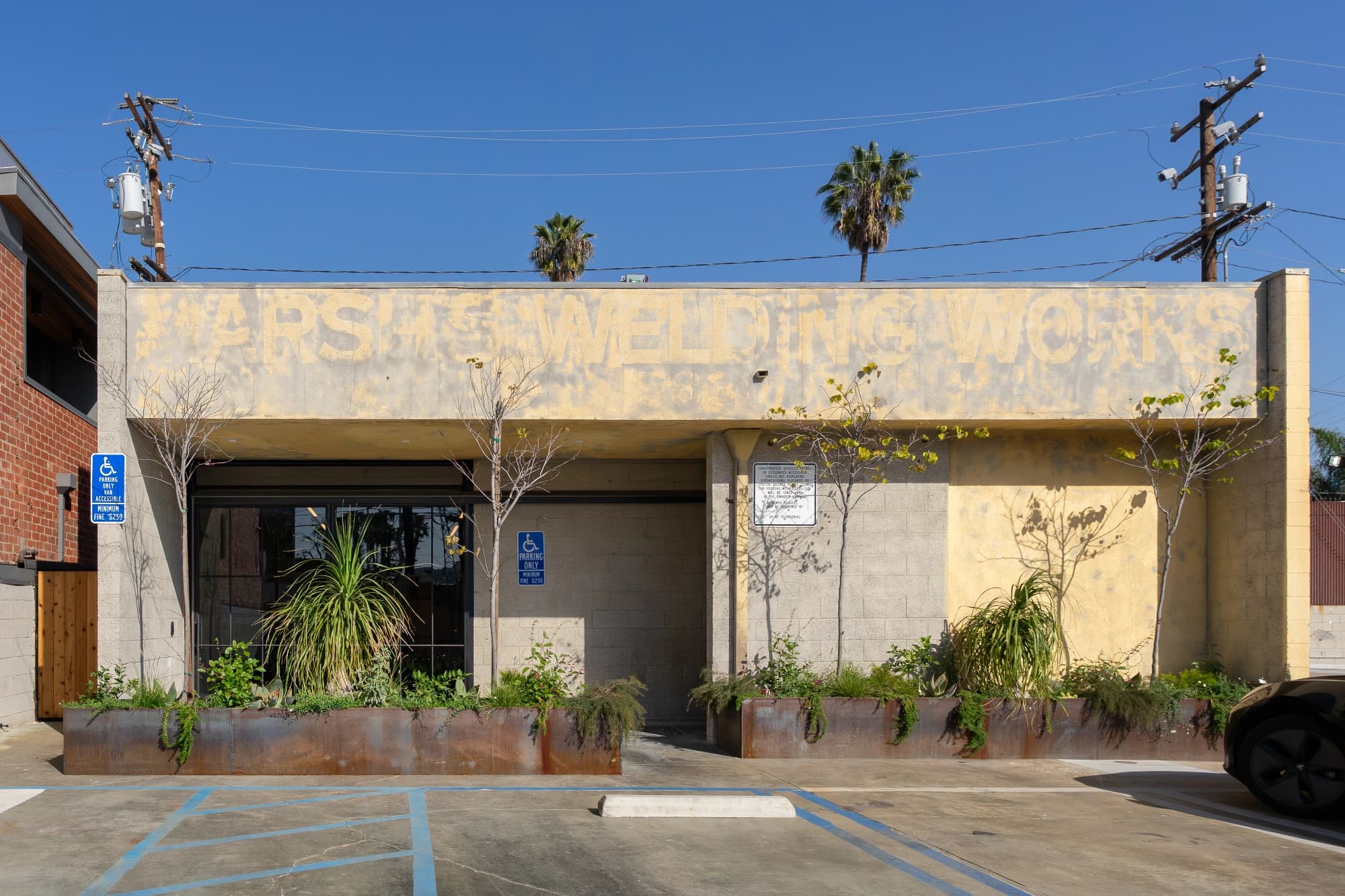 Cardio area with natural light